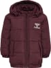 Hummel Hummel Reißverschluss Jacke Hmlvibe Mädchen in WINDSOR WINE