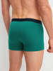 Calida New Boxer, 3er-Pack in ivy green