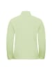 Jack Wolfskin Fleecepullover Taunus 100 Half-Zip in Hellgrün