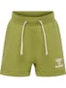 Hummel Verstellbare Taille Kurze Hose Hmldream Jungen in GREEN OLIVE