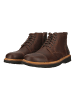 Clarks Schnürboots Weltridge Zip in 5228 Dark Brown Lea