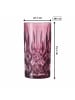 Nachtmann 2er Set Longdrinkgläser Noblesse in Berry 395 ml