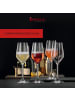 Spiegelau 4er Set Champagnergläser Lifestyle 310 ml transparent in transparent