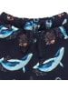 Walkiddy Shorts The Dancing Whales-Shorts