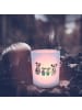 Mr. & Mrs. Panda Windlicht aus Glas Koala Familie zwei ohne Spruch in Transparent