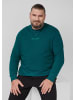 s.Oliver Sweatshirt in 79D1_tannengrün