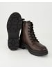 Zahira Schnürstiefeletten in Braun