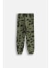 Coccodrillo Jogginghose in khaki