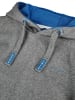 DENIMFY Sweatshirt DFBenno in Grau