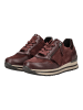 Gabor Sneaker in Merlot