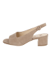 Högl Pumps in Taupe