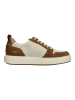 Paul Green Sneaker in Braun/Beige