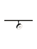 paulmann URail Schienenspot 3-Step-Dim Circle  180lm 5W 2700 - 4000K dimmbar 230V Schwar