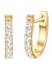 Trilani Creolen Sterling Silber Zirkonia in gelbgold