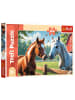 Wisam Puzzle 200 - Pferde auf der Lichtung - Trefl 13328