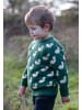 Little Green Radicals Organic Knitted Jumper in Green