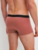 Calida New Boxer, 3er-Pack in marsala