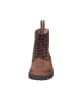 El Naturalista Boots in braun