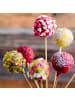 relaxdays 400x Cake Pop Stiel in Natur - (H)15 cm