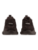 Steve Madden Sneaker POSSESSION-E in Chocolate