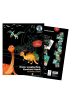 URSUS Mein magisches Kratzel Buch Drachen & Dinos - ab 3 Jahren