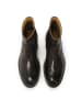 Kazar Chelsea Boots in Braun