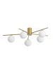 home24 home24 Deckenleuchte 5-flammig aus Eisen in Gold, 70 x 19 x 54 cm in Gold