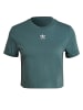 adidas adidas Cropped T-Shirts in hazy emerald
