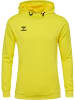Hummel Hummel Kapuzenpullover Hmlauthentic Herren in BLAZING YELLOW