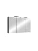 byLiving Spiegelschrank SPREE in anthrazit - B 100, H 60, T 20 cm
