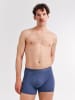 Erlich Textil  CASUAL COTTON PANTS IM 3er PACK in graublau