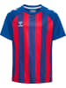 Hummel T-Shirt Raglanärmel Hmlmatch Kinder in TRUE BLUE/TRUE RED