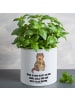 Mr. & Mrs. Panda XL Blumentopf Otter Blumenstrauß mit Spruch in Weiß