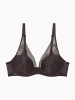 Passionata Plunge Bra Wired Padded in Dark Chocolate