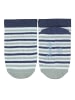 Sterntaler Sneaker-Socken Bär, 3er-Pack in blaugrau