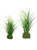 Creativ green 2er Set: Deko-Gras in Grasballen 27cm und 50cm