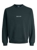 JACK & JONES Junior Sweatshirt JORNORREBRO EMB SWEAT CREW JNR in forest river