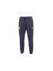Puma Trainingshose BVB ftblARCHIVE in Schwarz