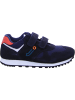 Jela Sneaker in blau