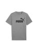 Puma T-Shirt 2er Pack in Grau