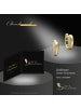 GoldDream Ohrringe Gold 333 Gelbgold - 8 Karat Glamour Creolen