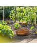 relaxdays 25x Bambusstäbe in Natur - (L)150 cm