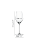 Spiegelau 4er Set Champagnergläser Style 310 ml transparent in transparent
