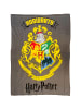 Harry Potter 2 tlg. Set: Kissen und Decke in Grau