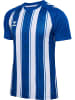Hummel T-Shirt Raglanärmel Hmlmatch Erwachsene in TRUE BLUE/WHITE