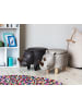 Beliani Tierhocker RHINO in Grau/Braun - (W) 60 x (H) 35 x (L) 32 cm