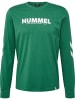 Hummel Hummel T-Shirt Hmllegacy Unisex Erwachsene in FOLIAGE GREEN