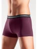 AUTHENTIC UNDERWEAR Boxer in blau, petrol, anthrazit-meliert, bordeaux