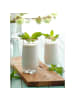COFI 1453 LAV Adora 3er Set Longdrinkgläser 390 ml - Elegant & Vielseitig in Transparent