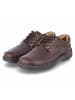 Clarks Schnürhalbschuh in braun